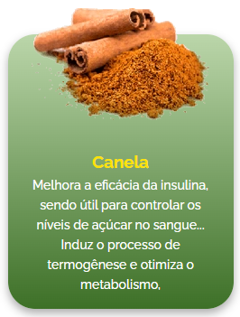 Como emagrecer com plantas medicinais