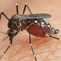 xr:d:DAGCCRxnbO4:2,j:3829610533291413762,t:24041513