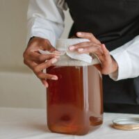 Receita como fazer kombucha