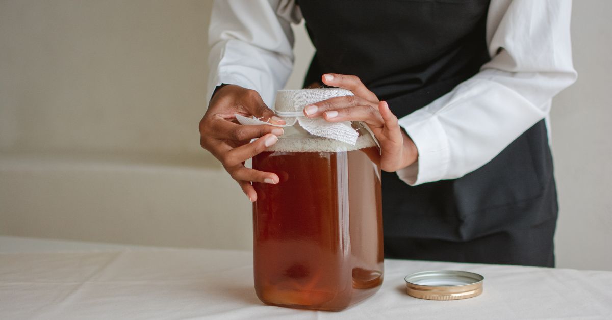 Receita como fazer kombucha