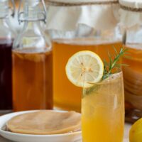 SCOBY Symbiotic Culture of Bacteria and Yeast