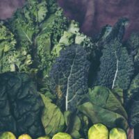 Vegetais Ricos em Proteína 9 Opções Saudáveis